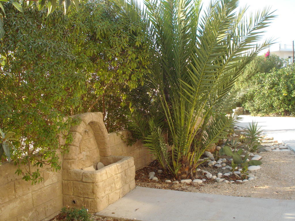Arilena Holiday Apartments Paphos Exterior foto
